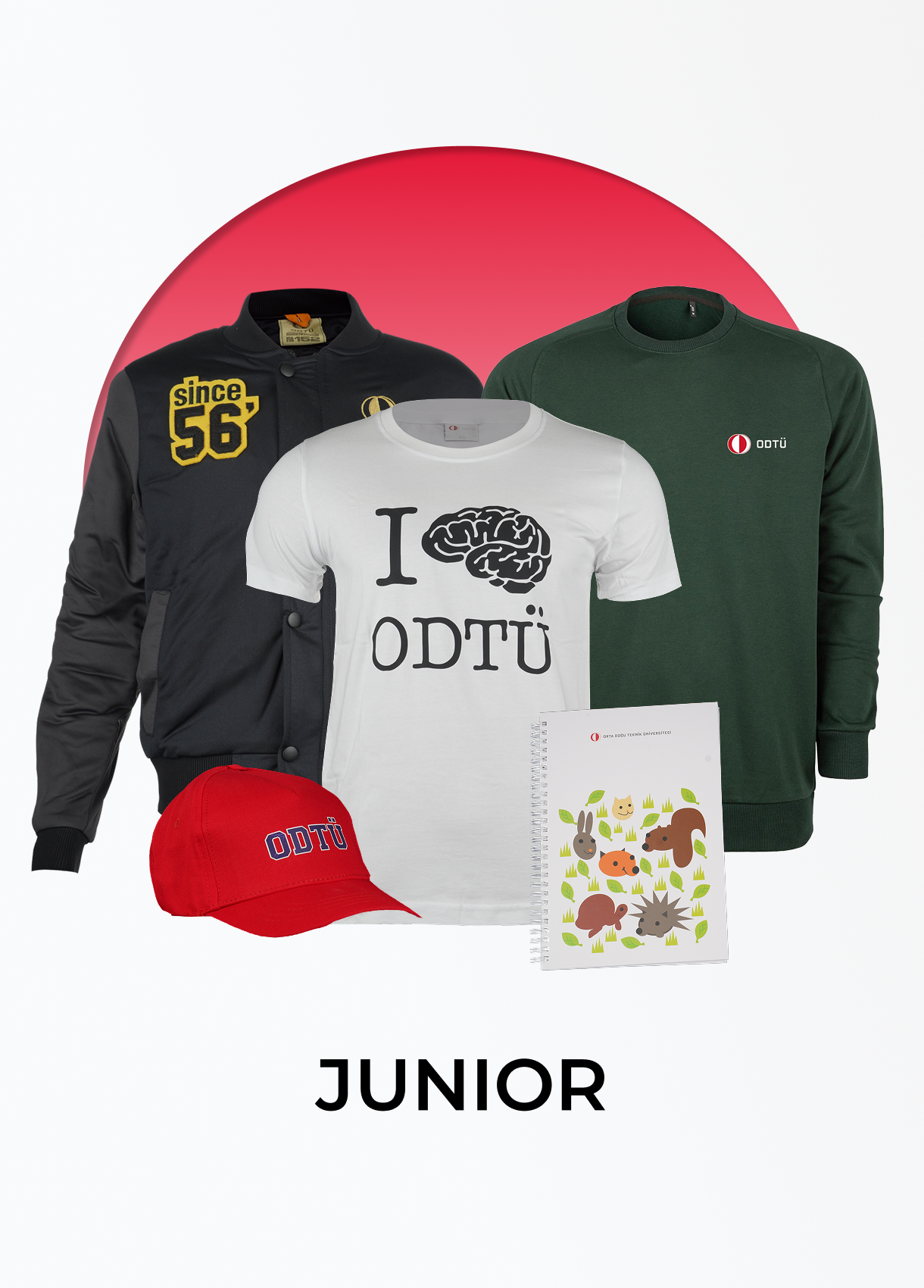 ODTÜ Junior