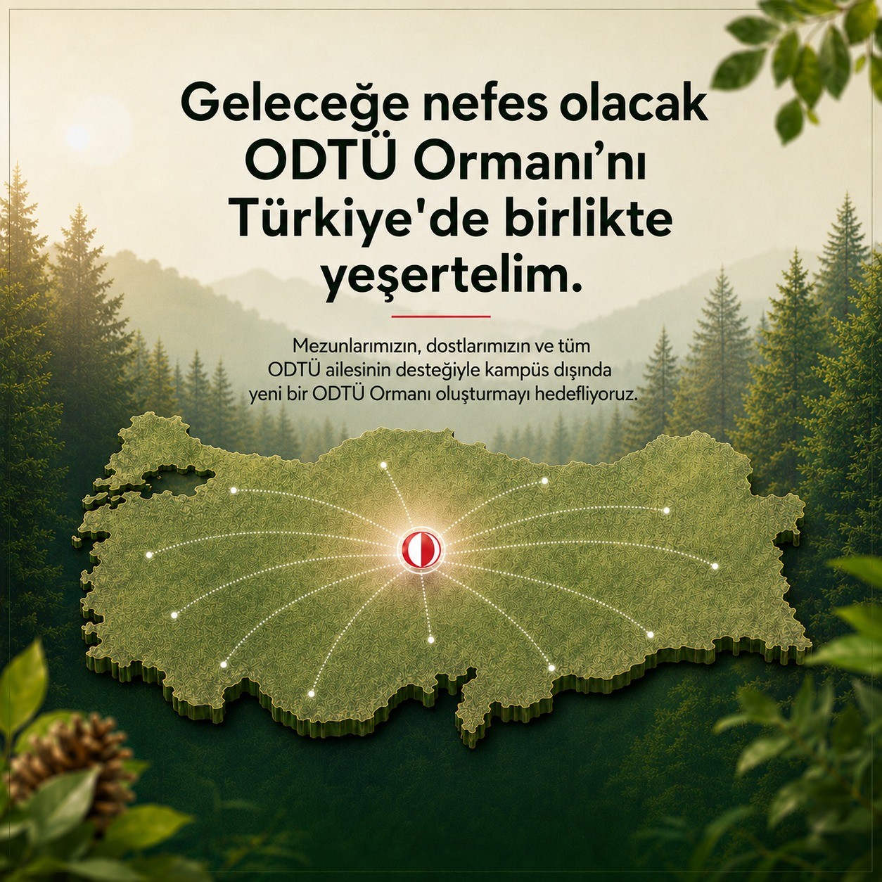 Tohumlu Kalem