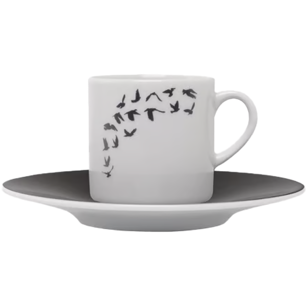 Karton Kutulu İkili Kuşlu Kahve Fincanı Takımı